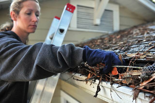 Woman cleaning gutters