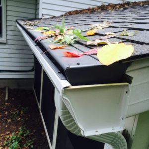 An image of leaves on top of a covered gutter system on a home with vinyl siding and a shingle roof.