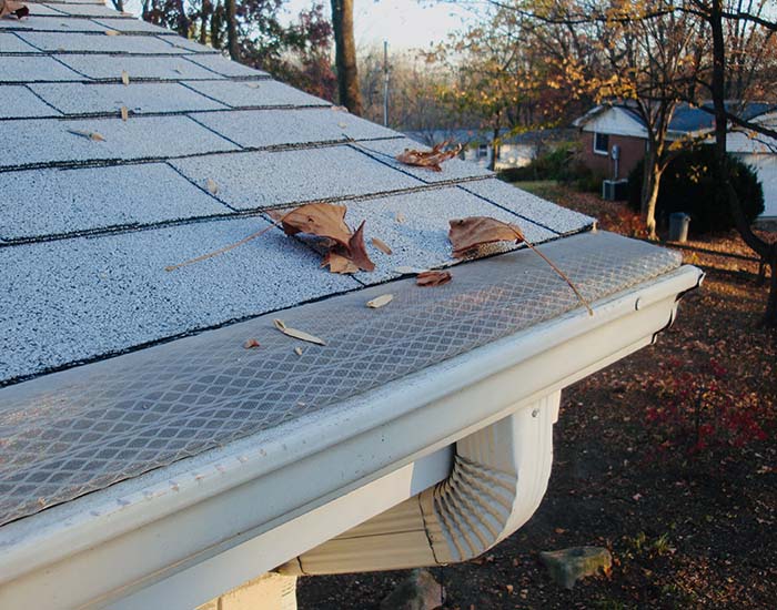 Double Screen Silver- Product-7x5